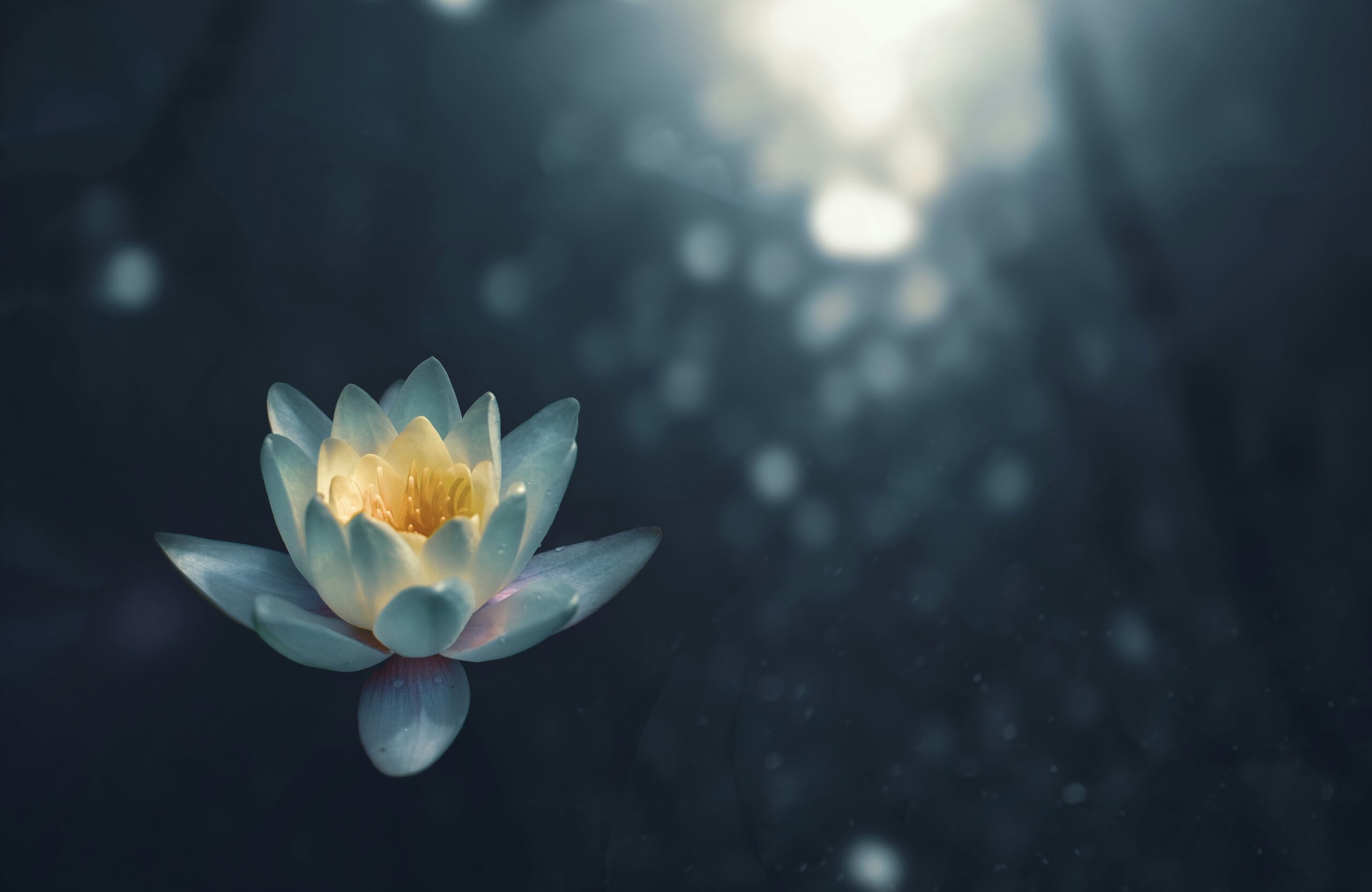 NAAM KI ENERGY HEALING